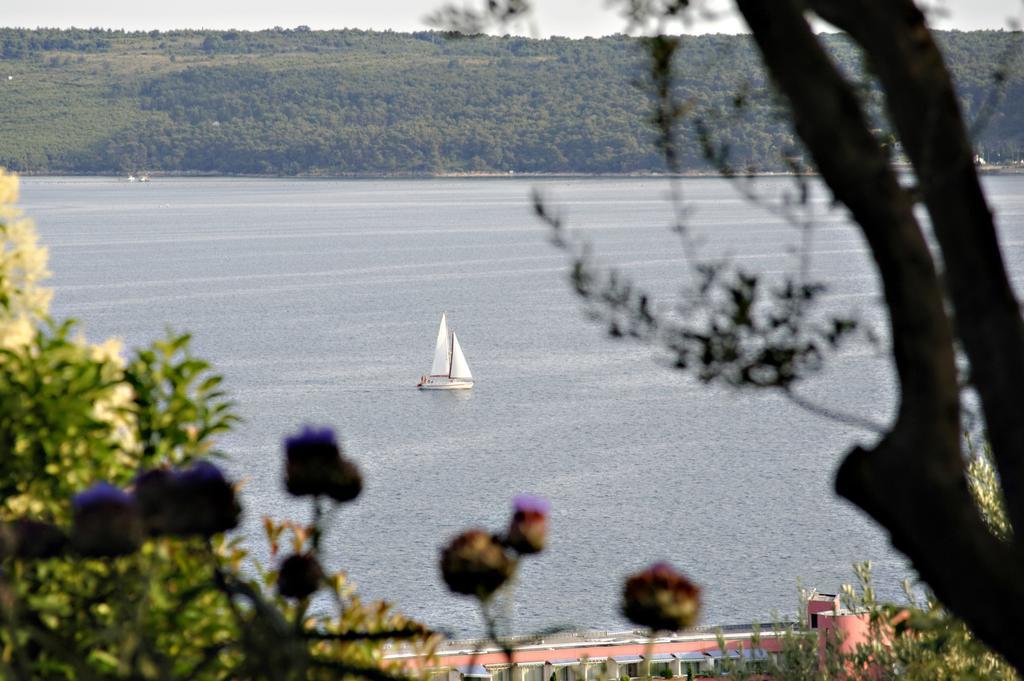 Apartment Rubin Piran Eksteriør billede